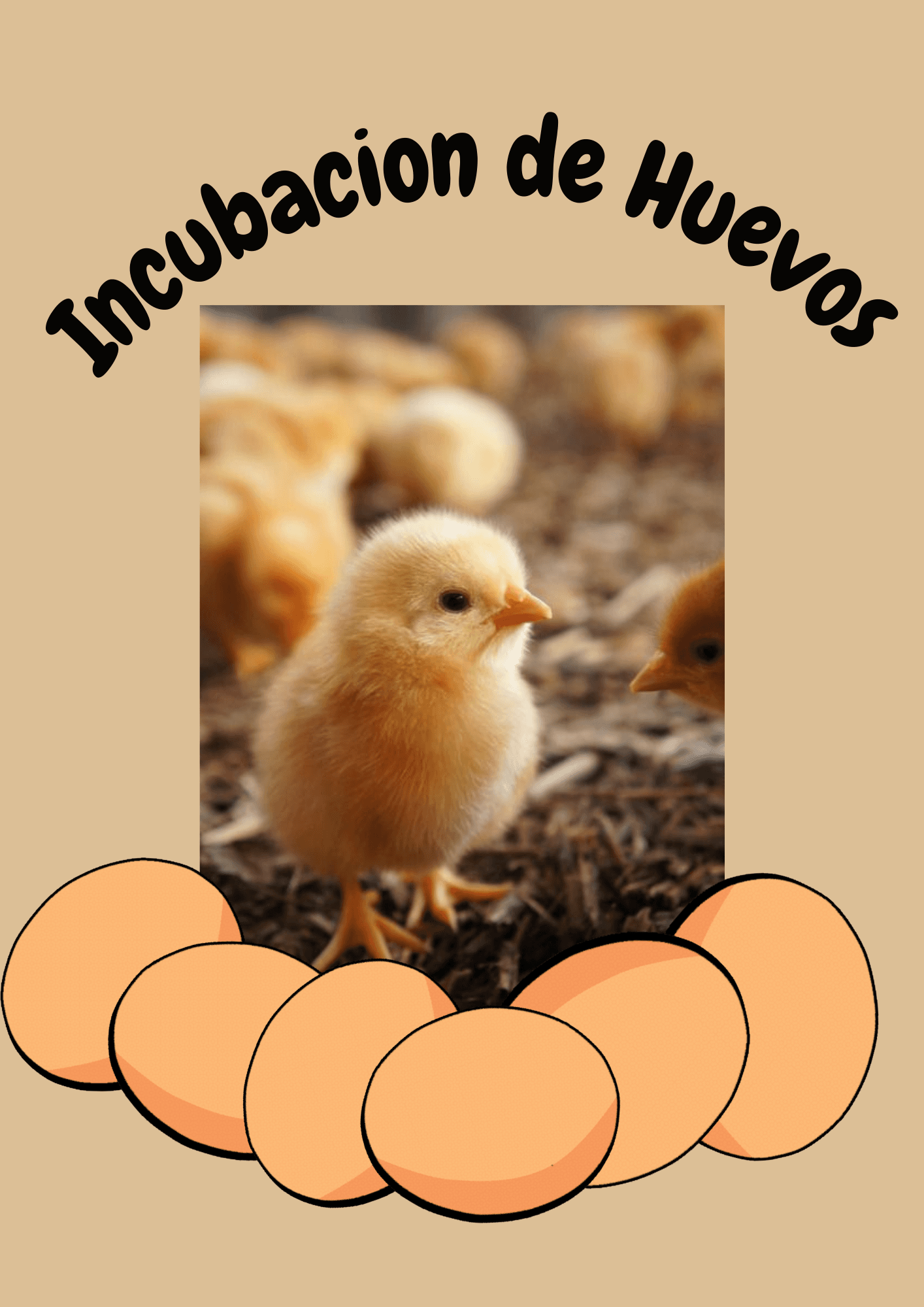 Proyecto: Incubación de Huevos de Gallina
