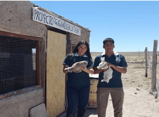 Proyecto: Gigantes en la Tierra: Producción de conejos Gigante de Flandes