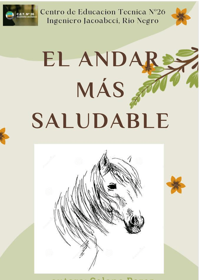 Proyecto: El Andar Más Saludable