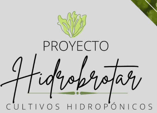 Proyecto: Cultivos Hidropónicos