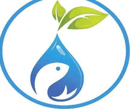 Proyecto: Acuaponia: "La complementariedad en un sistema"