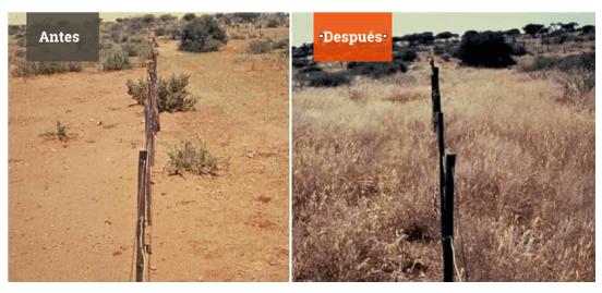 Proyecto: Sur Sustentable