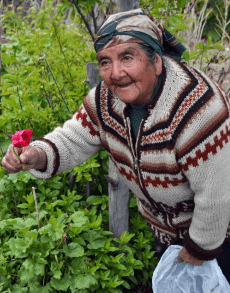 Proyecto: Mujeres Productoras Rurales