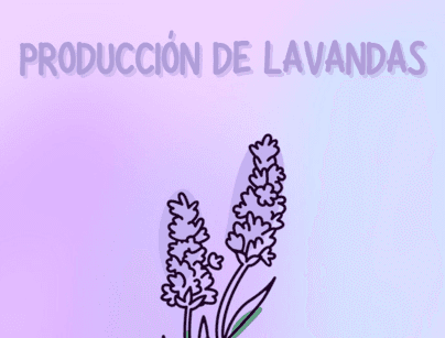 Proyecto: Producción de lavandas