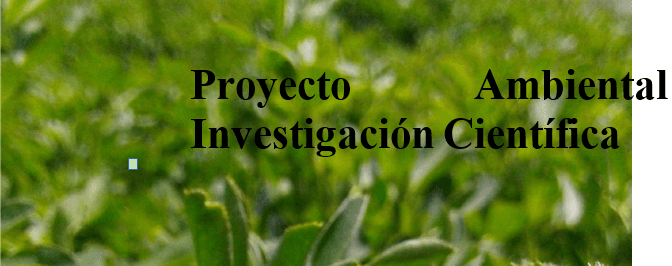 Proyecto: El Nuevo Recurso Ambiental