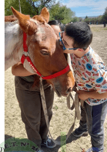 Proyecto: Galope de esperanza: transformando vidas a través de actividades asistidas con caballos