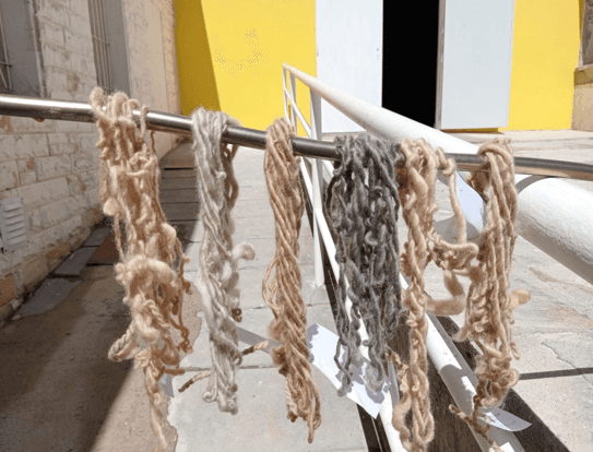 Proyecto: El arte de los tintes naturales