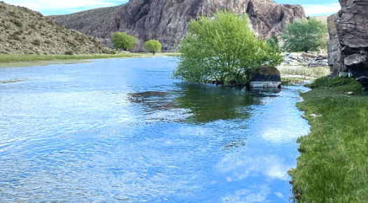 Proyecto: Desafío hídrico en río Chico, verde en crisis